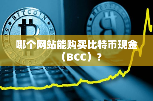 哪个网站能购买比特币现金（BCC）？