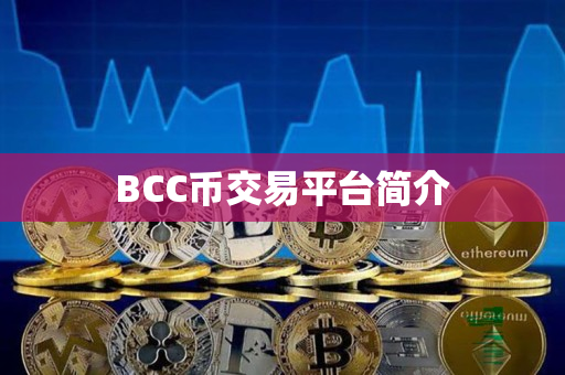 BCC币交易平台简介