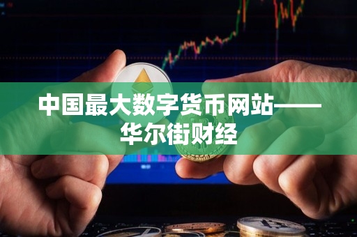 中国最大数字货币网站——华尔街财经