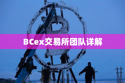 BCex交易所团队详解