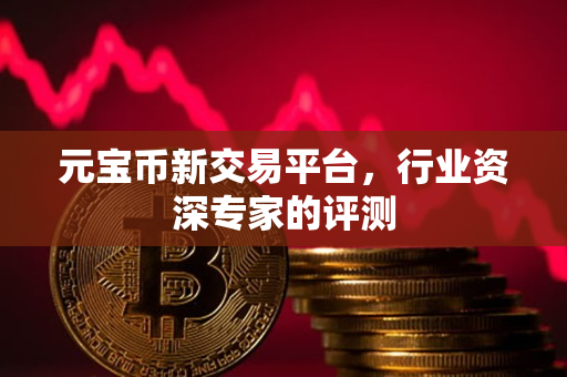 元宝币新交易平台，行业资深专家的评测