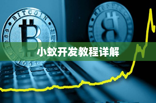 小蚁开发教程详解 小蚁开发教程详解