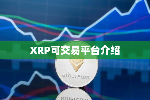 XRP可交易平台介绍