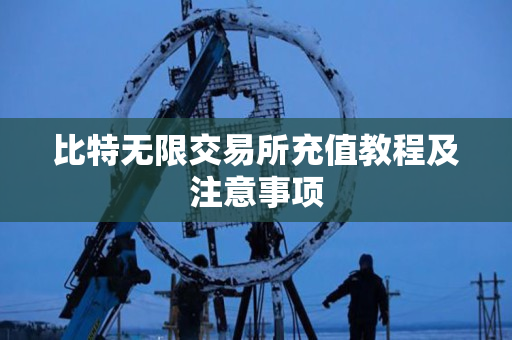比特无限交易所充值教程及注意事项 比特无限交易所充值教程及注意事项