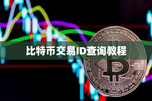 比特币交易ID查询教程