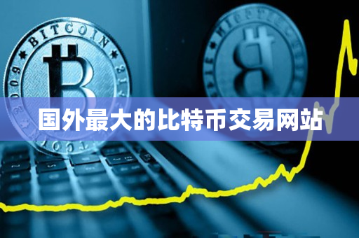 国外最大的比特币交易网站 国外最大的比特币交易网站