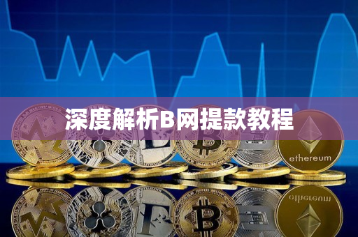 深度解析B网提款教程 深度解析B网提款教程