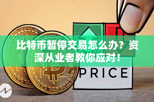 比特币暂停交易怎么办?资深从业者教你应对! 比特币暂停交易怎么办?资深从业者教你应对!