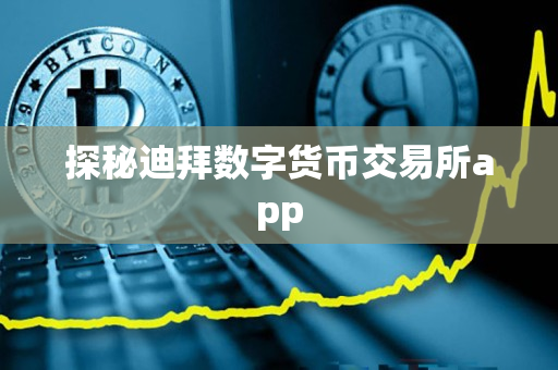 探秘迪拜数字货币交易所app 探秘迪拜数字货币交易所app