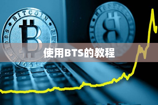 使用BTS的教程 使用BTS的教程
