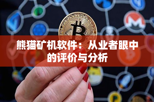 熊猫矿机软件：从业者眼中的评价与分析