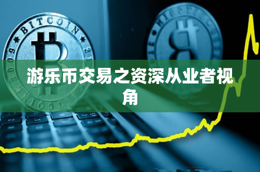 游乐币交易之资深从业者视角