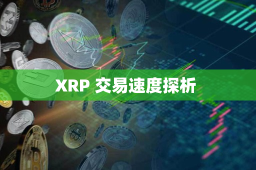 XRP 交易速度探析 