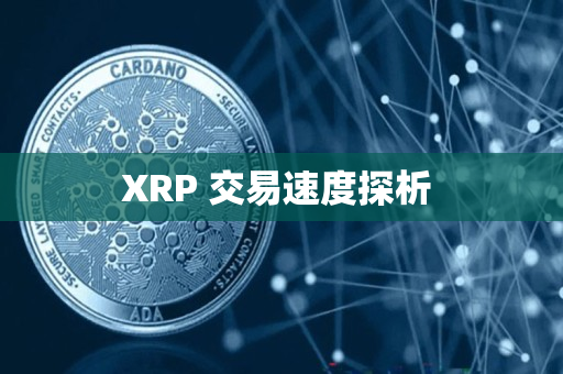 XRP 交易速度探析 