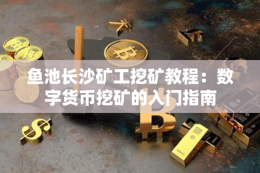 鱼池长沙矿工挖矿教程:数字货币挖矿的入门指南 鱼池长沙矿工挖矿教程:数字货币挖矿的入门指南