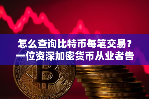 怎么查询比特币每笔交易？一位资深加密货币从业者告诉你