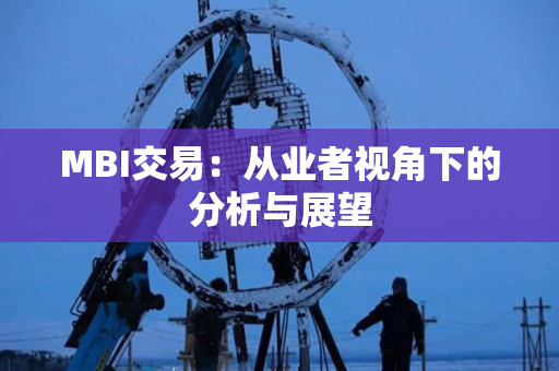 MBI交易:从业者视角下的分析与展望 MBI交易:从业者视角下的分析与展望
