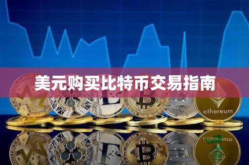 美元购买比特币交易指南