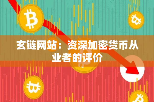 玄链网站:资深加密货币从业者的评价 玄链网站:资深加密货币从业者的评价