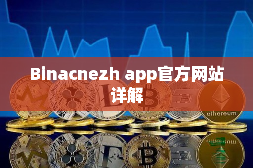 Binacnezh app官方网站详解 Binacnezh app官方网站详解
