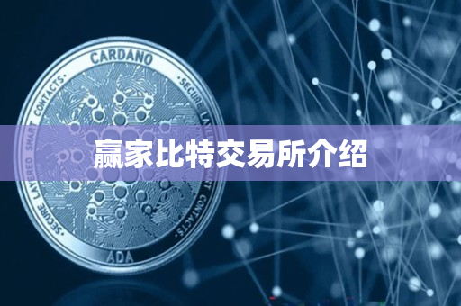 赢家比特交易所介绍