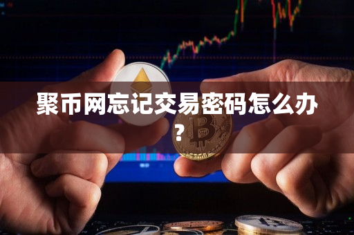 聚币网忘记交易密码怎么办? 聚币网忘记交易密码怎么办?