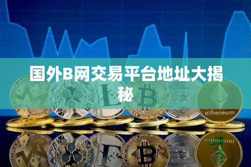 国外B网交易平台地址大揭秘 国外B网交易平台地址大揭秘
