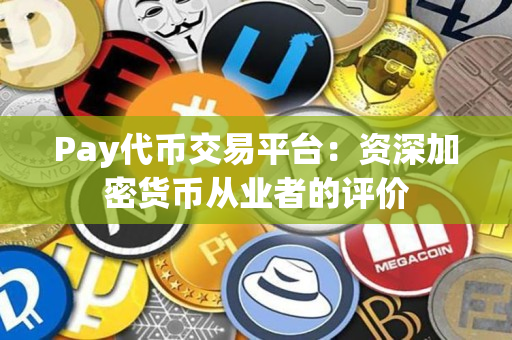 Pay代币交易平台：资深加密货币从业者的评价