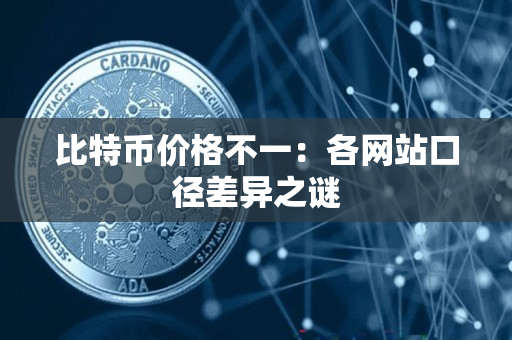 比特币价格不一：各网站口径差异之谜