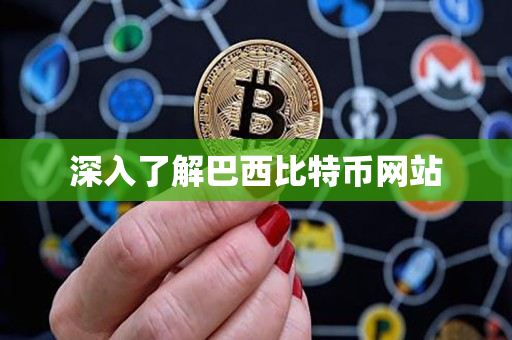 深入了解巴西比特币网站 深入了解巴西比特币网站