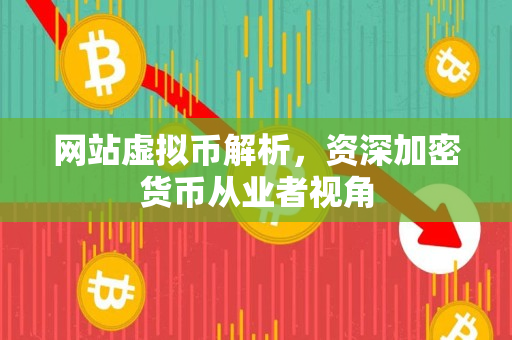 网站虚拟币解析,资深加密货币从业者视角 网站虚拟币解析,资深加密货币从业者视角