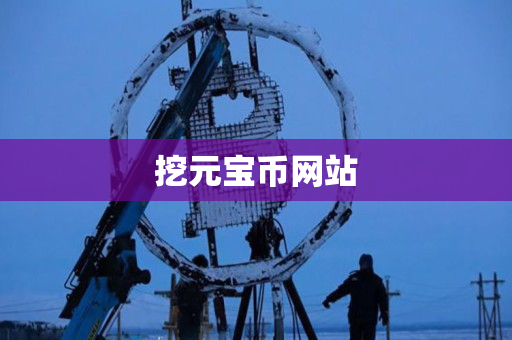 挖元宝币网站