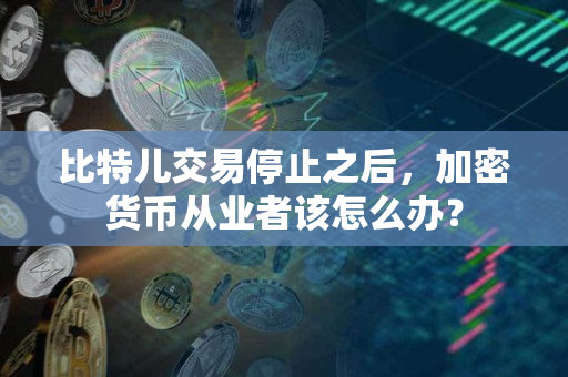 比特儿交易停止之后,加密货币从业者该怎么办? 比特儿交易停止之后,加密货币从业者该怎么办?