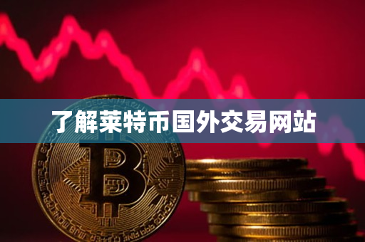 了解莱特币国外交易网站