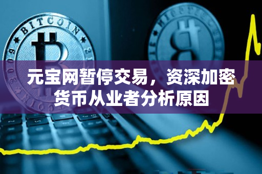元宝网暂停交易,资深加密货币从业者分析原因 元宝网暂停交易,资深加密货币从业者分析原因