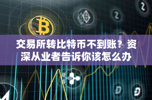 交易所转比特币不到账?资深从业者告诉你该怎么办 交易所转比特币不到账?资深从业者告诉你该怎么办