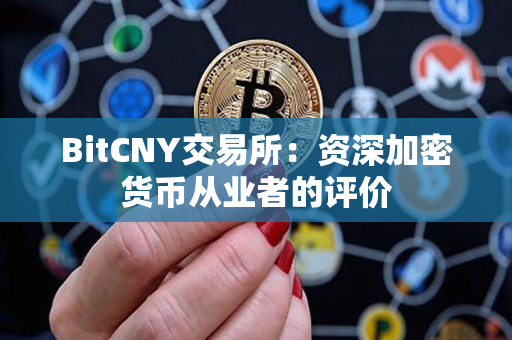 BitCNY交易所:资深加密货币从业者的评价 BitCNY交易所:资深加密货币从业者的评价