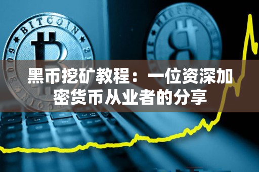 黑币挖矿教程:一位资深加密货币从业者的分享 黑币挖矿教程:一位资深加密货币从业者的分享