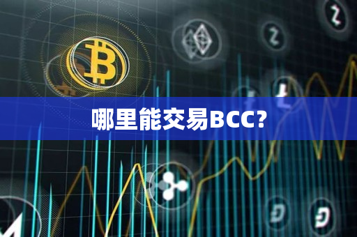 哪里能交易BCC？
