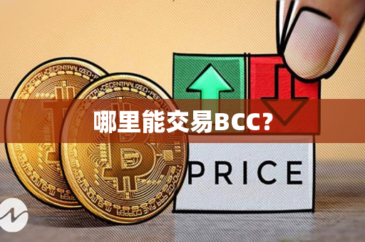 哪里能交易BCC？
