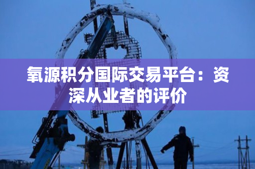 氧源积分国际交易平台：资深从业者的评价