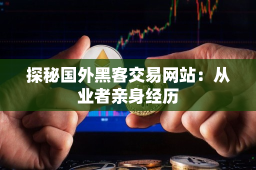 探秘国外黑客交易网站:从业者亲身经历 探秘国外黑客交易网站:从业者亲身经历