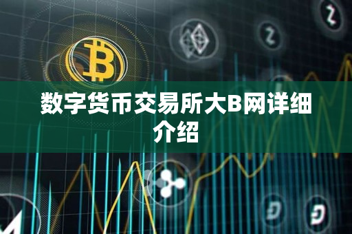 数字货币交易所大B网详细介绍 数字货币交易所大B网详细介绍