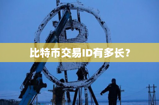 比特币交易ID有多长? 比特币交易ID有多长?