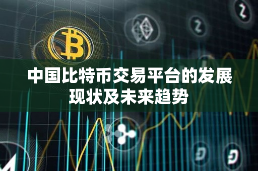 中国比特币交易平台的发展现状及未来趋势 中国比特币交易平台的发展现状及未来趋势