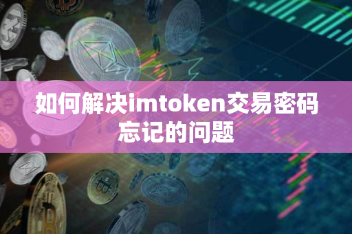 如何解决imtoken交易密码忘记的问题
