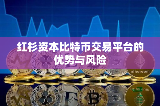 红杉资本比特币交易平台的优势与风险 红杉资本比特币交易平台的优势与风险