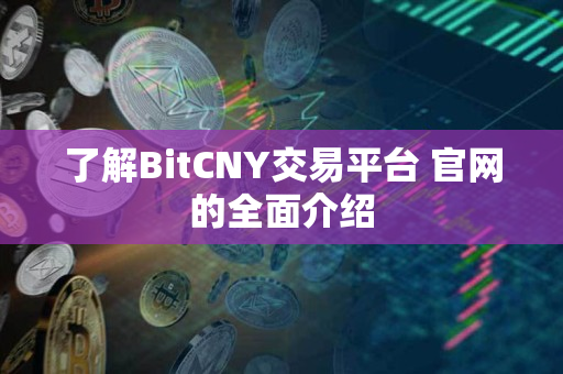 了解BitCNY交易平台 官网的全面介绍