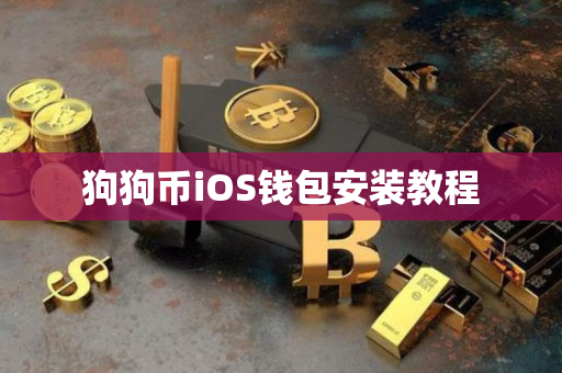 狗狗币iOS钱包安装教程