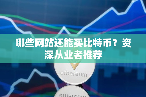 哪些网站还能买比特币?资深从业者推荐 哪些网站还能买比特币?资深从业者推荐